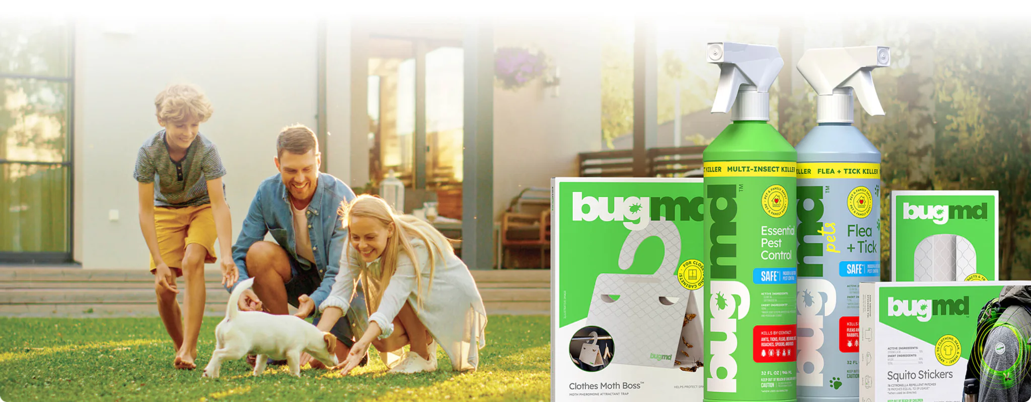 Reclaim Your Home From Pests
